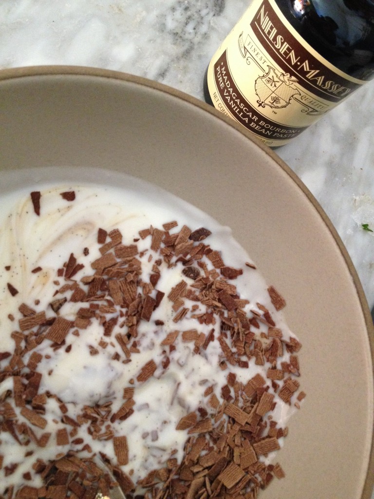 chocolate chip yogurt with nielsen massey vanilla